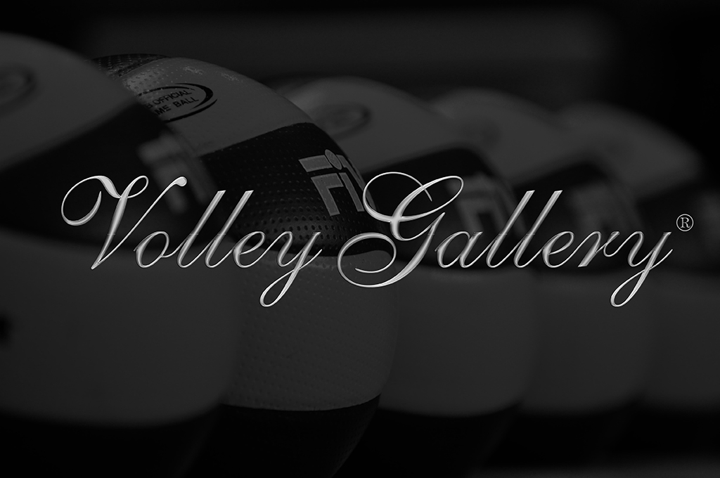 VolleyGallery home